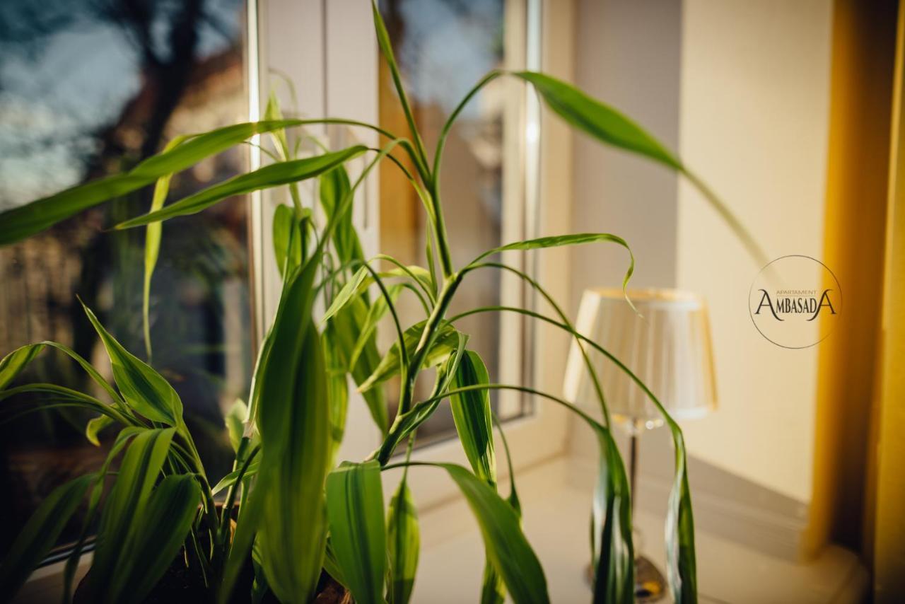 Apartament Ambasada Zamość Kültér fotó
