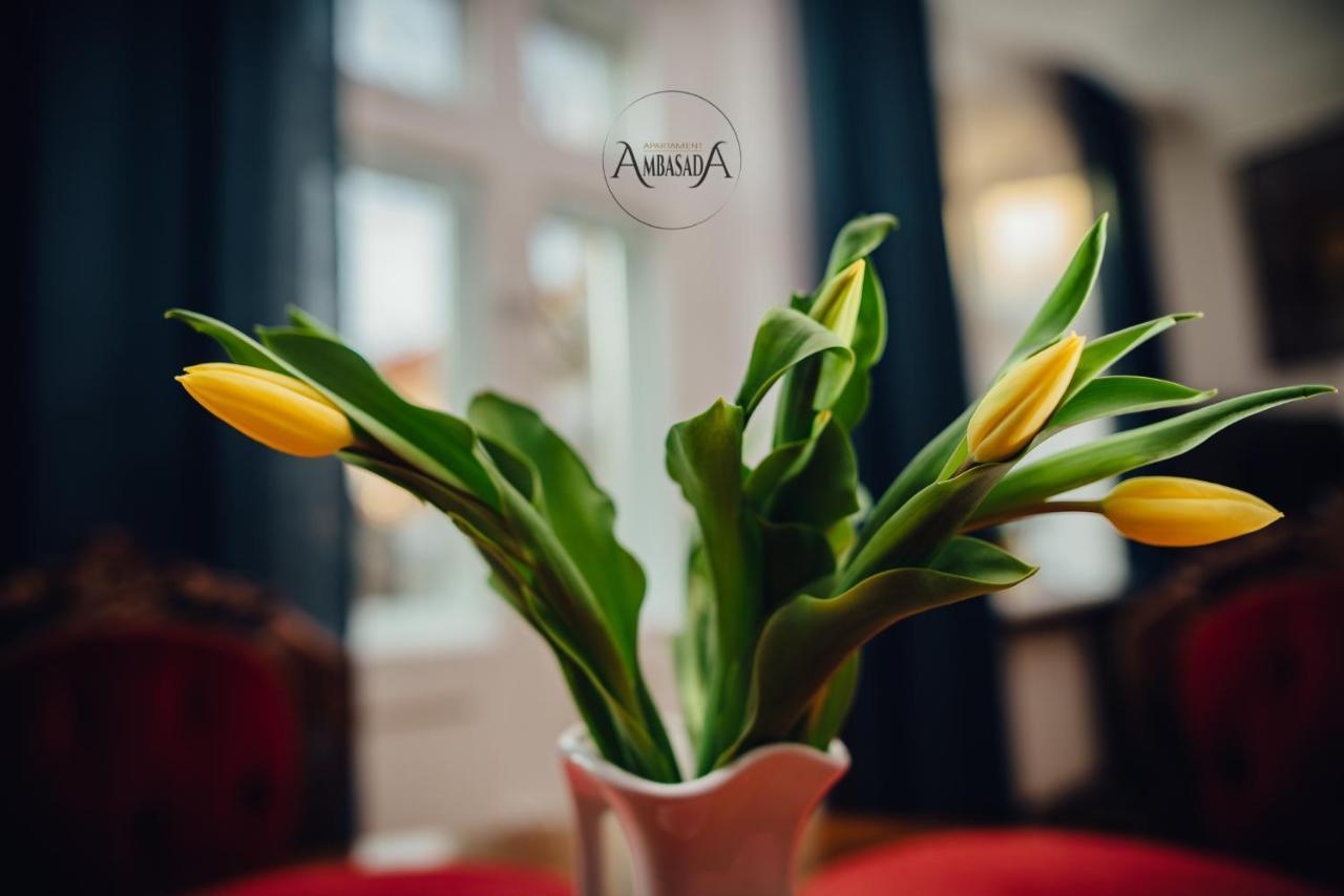 Apartament Ambasada Zamość Kültér fotó